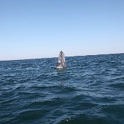 IMG 0001 2 (207)